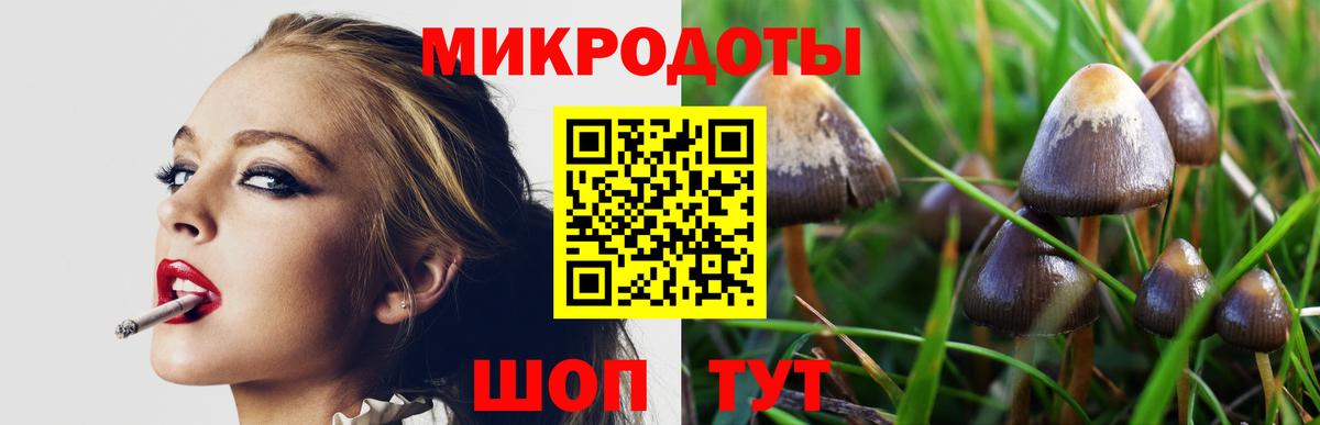 закладка  Псилоцибиновые грибы мицелий  Вход с VPN  Лысьва 